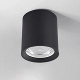 Surface Mounted High Quality Aluminum 10W LED Black White Body Ceiling LED Downlight 85-265V 10W For Shop Home Improvement