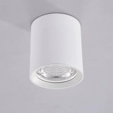 Surface Mounted High Quality Aluminum 10W LED Black White Body Ceiling LED Downlight 85-265V 10W For Shop Home Improvement