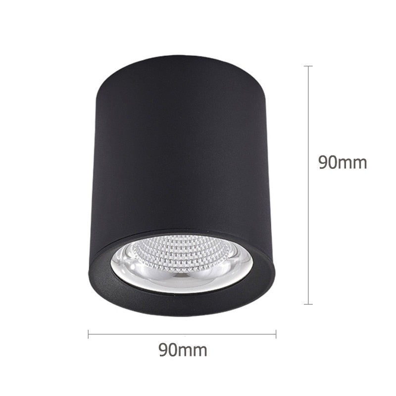 Surface Mounted High Quality Aluminum 10W LED Black White Body Ceiling LED Downlight 85-265V 10W For Shop Home Improvement