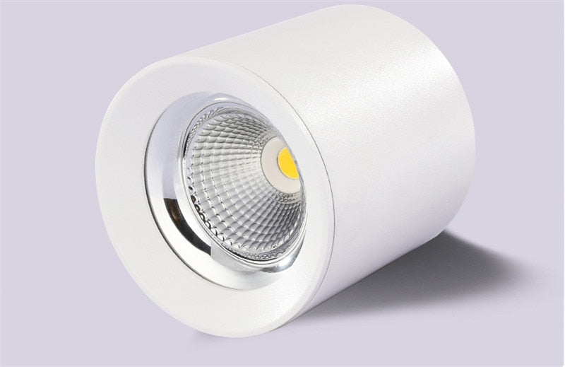 Surface Mounted High Quality Aluminum 10W LED Black White Body Ceiling LED Downlight 85-265V 10W For Shop Home Improvement