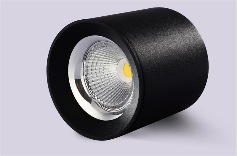 Surface Mounted High Quality Aluminum 10W LED Black White Body Ceiling LED Downlight 85-265V 10W For Shop Home Improvement