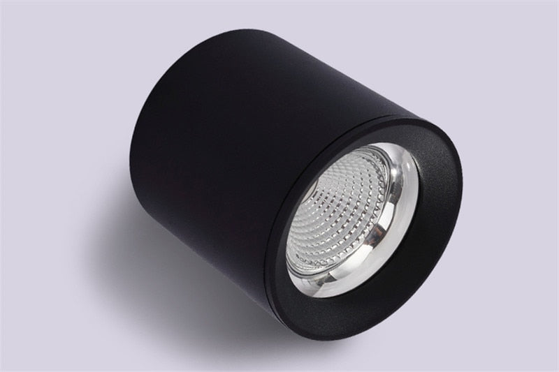 Surface Mounted High Quality Aluminum 10W LED Black White Body Ceiling LED Downlight 85-265V 10W For Shop Home Improvement