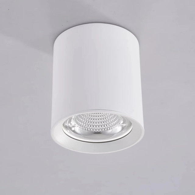 Surface Mounted High Quality Aluminum 10W LED Black White Body Ceiling LED Downlight 85-265V 10W For Shop Home Improvement