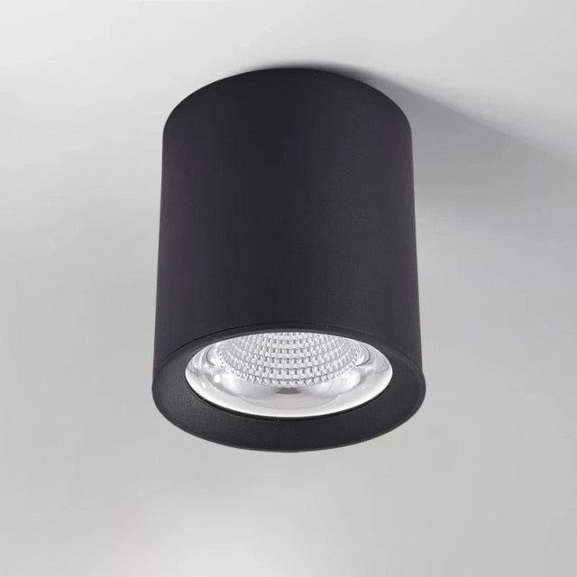 Surface Mounted High Quality Aluminum 10W LED Black White Body Ceiling LED Downlight 85-265V 10W For Shop Home Improvement