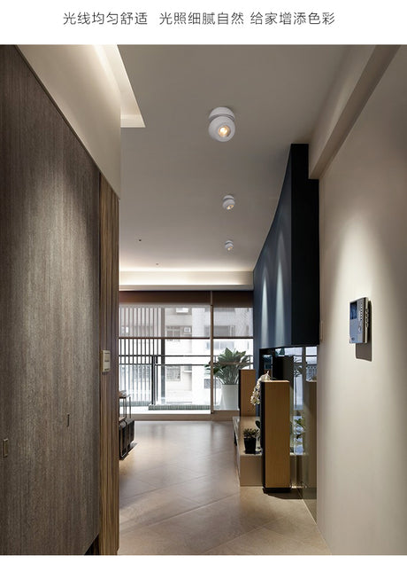 360 degree rotation 15W 30W LED Downlight dimmable spotlight AC110V 220V Lighting surface mounted LED Down Lights Indoor Light