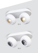 360 degree rotation 15W 30W LED Downlight dimmable spotlight AC110V 220V Lighting surface mounted LED Down Lights Indoor Light