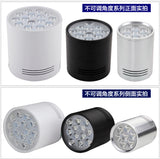 Surface Mounted LED Downlights AC110V-220V 3W/5W/7W/9W/12W/15W/18W LED Downlight With White/Black Housing Colors