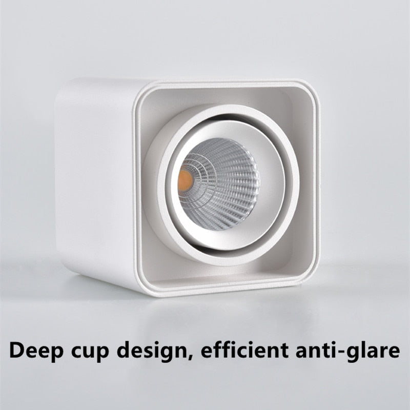 Dimmable LED Ceiling Downlight 15W 30W Down Lamp 110V 120V 220V 240V Adjustable Surface Mounted Spot Lights For Indoor Lighting