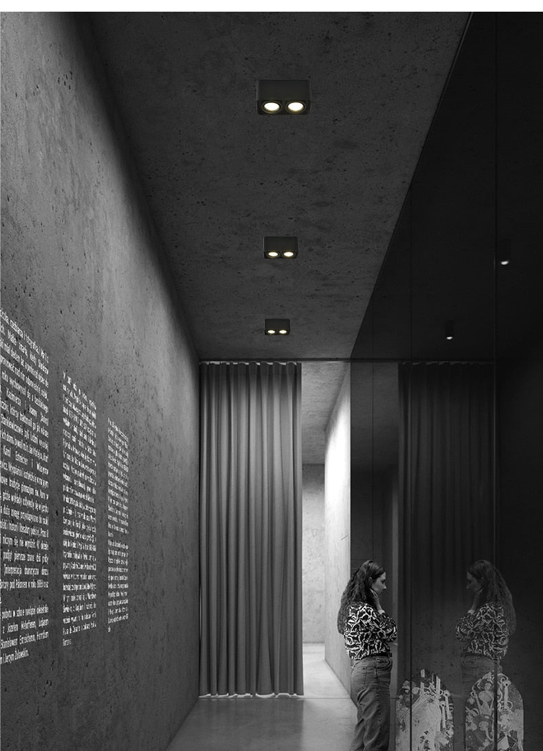 Dimmable LED Ceiling Downlight 15W 30W Down Lamp 110V 120V 220V 240V Adjustable Surface Mounted Spot Lights For Indoor Lighting