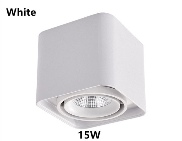 Dimmable LED Ceiling Downlight 15W 30W Down Lamp 110V 120V 220V 240V Adjustable Surface Mounted Spot Lights For Indoor Lighting
