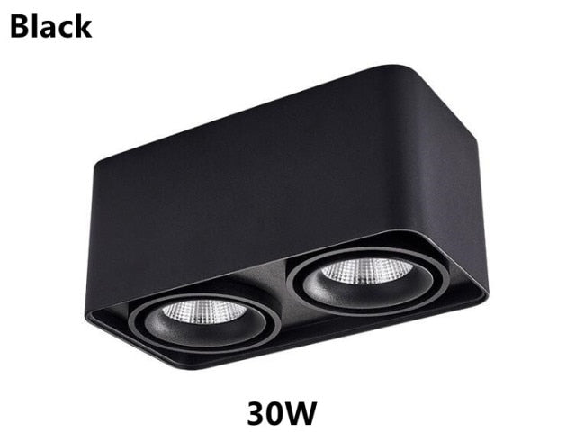 Dimmable LED Ceiling Downlight 15W 30W Down Lamp 110V 120V 220V 240V Adjustable Surface Mounted Spot Lights For Indoor Lighting