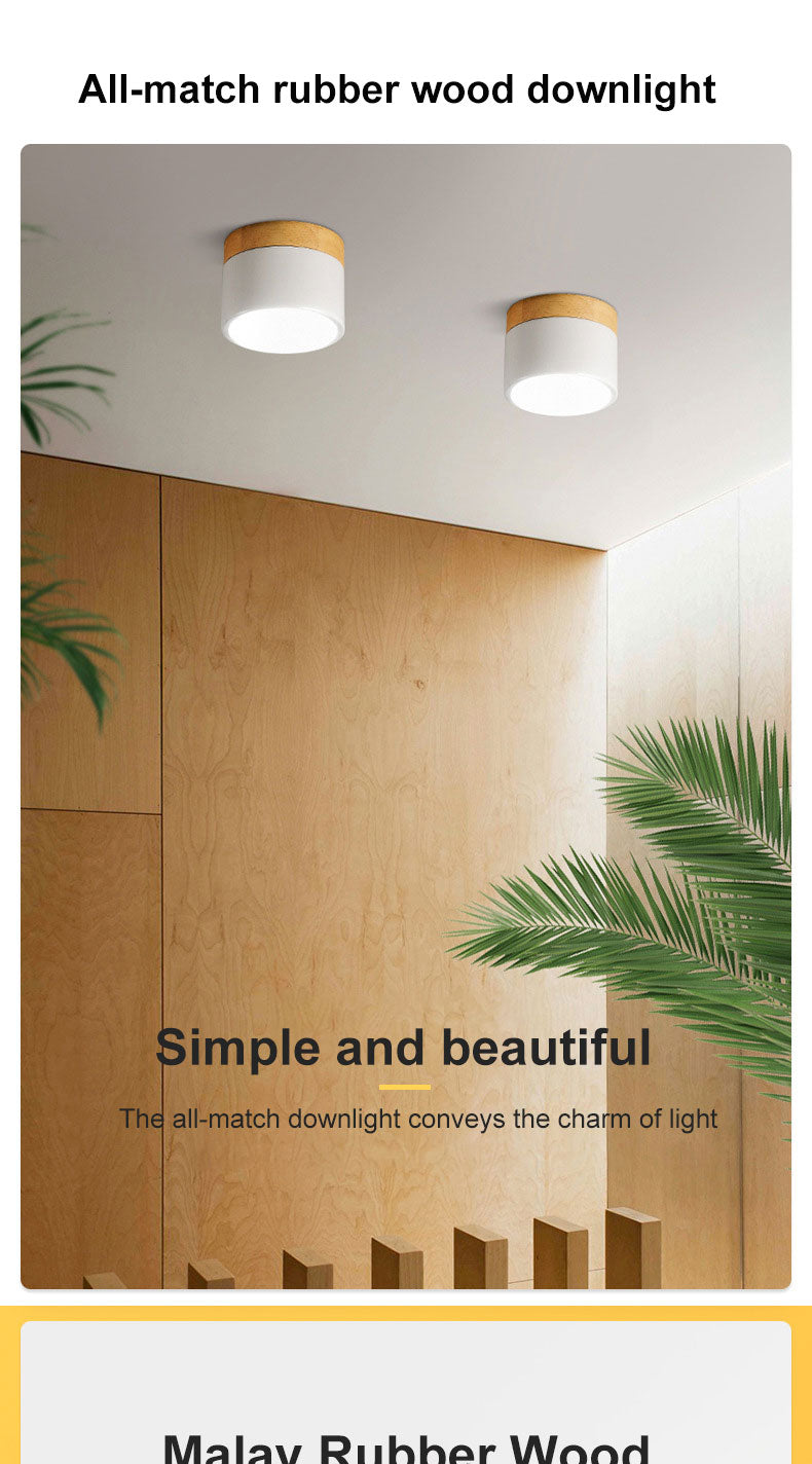 Surface mounted downlight led ceiling light Nordic style living room home corridor aisle light cloakroom lighting fixtures