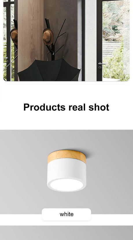 Surface mounted downlight led ceiling light Nordic style living room home corridor aisle light cloakroom lighting fixtures