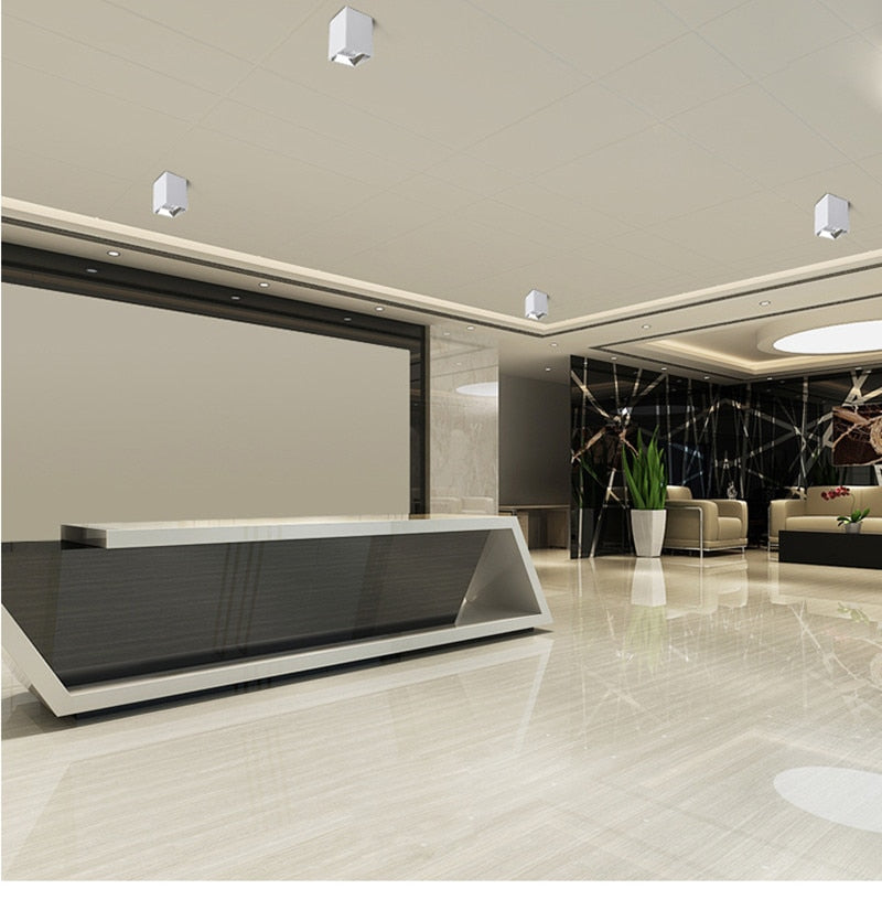 LED Ceiling Downlight 15W 18W 24W Surface Mounted COB Spot Light Dimmable 220v 110v for Hallway Gallery Kitchen Living Room