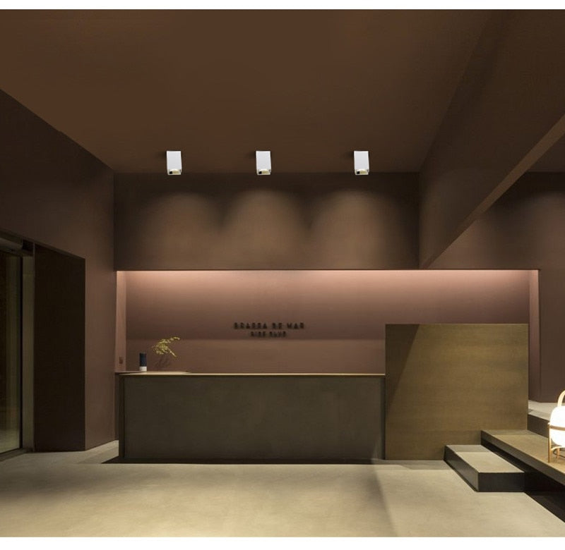 LED Ceiling Downlight 15W 18W 24W Surface Mounted COB Spot Light Dimmable 220v 110v for Hallway Gallery Kitchen Living Room