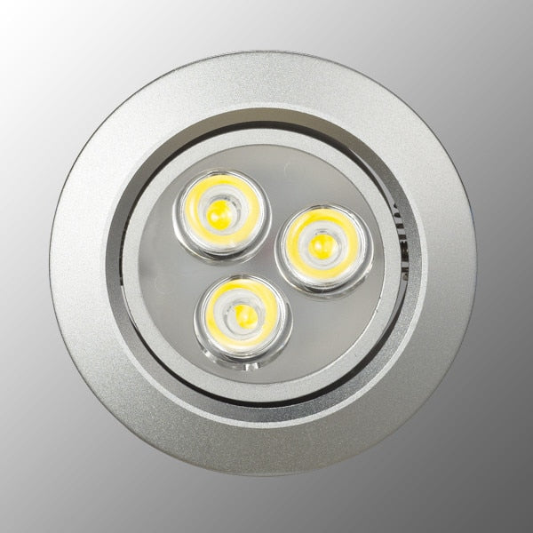 Dimmable LED Downlight 2pcs/lot Daylight 3W 6W 220V Spot Led Encastrable Exterieur Led Downlight