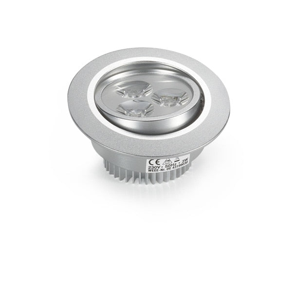 Dimmable LED Downlight 2pcs/lot Daylight 3W 6W 220V Spot Led Encastrable Exterieur Led Downlight