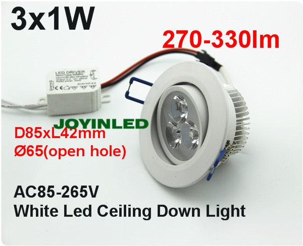 Dimmable LED Downlight 2pcs/lot Daylight 3W 6W 220V Spot Led Encastrable Exterieur Led Downlight