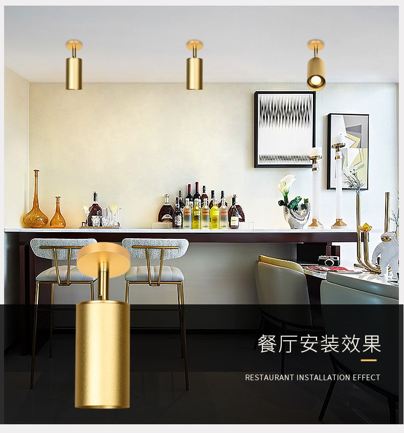 LED Downlight Dimmable 7W 10W 12W 10 PCS COB surface mounted Spot lights Led Ceiling Spot Light AC85-265V For Clothing Shop