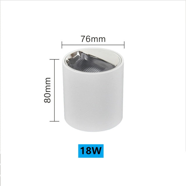 NEW Circular Aviation Aluminum Surface Mounted Ceiling Downlight White Black LED Spotlight 18W 30W 12° Dimmable 110V 220V