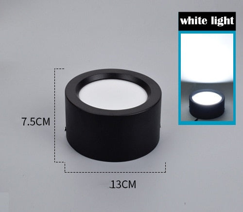 LED Surface Mounted Downlight Indoor Ceiling Lamp Black Aluminum Accent Spot Lighting Fixture for Living Room Corridor Kitchen