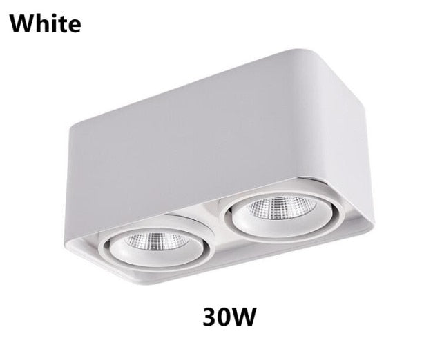 Dimmable Square LED Mounted Down Lamp LED Ceiling Lights 15W 30W AC110V 220V Downlight Direction Adjustable Indoor Lighting