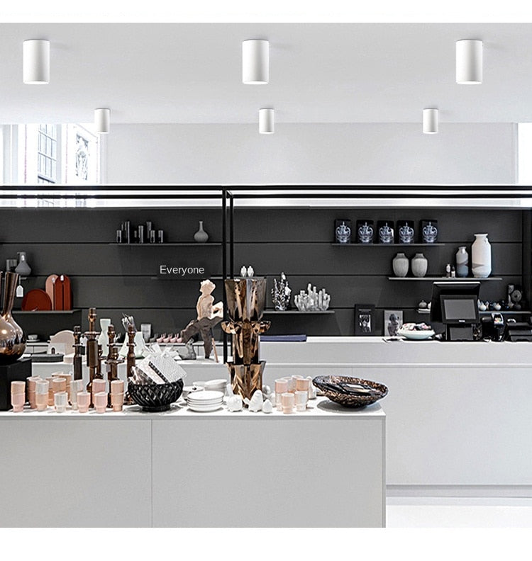 Ceiling Downlight Epistar LED Recessed Ceiling Lamp Spot Light for Home Illumination Dimmable AC110V-220V 7W 12W Aluminum 2years