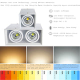 LED Downlight 14W 20W 30W Surface Mounted 1 Head 2 Head LED LED Grille Light AC85-265V COB LED Spot For Home Decor