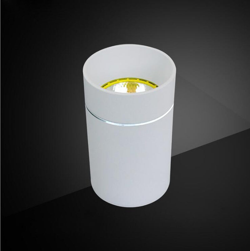 LED Downlights 7W 12W 15W Surface Mounted LED Ceiling Lamps Spot Light LED Downlights AC85V-265V