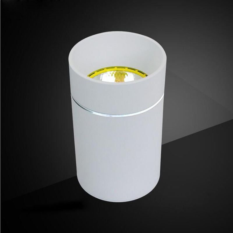 LED Downlights 7W 12W 15W Surface Mounted LED Ceiling Lamps Spot Light LED Downlights AC85V-265V