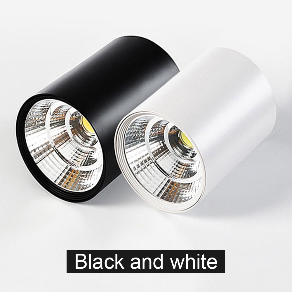 LED Black Surface Mounted Downlight COB Ceiling Spot Light for Hotel Villa Home Lighting