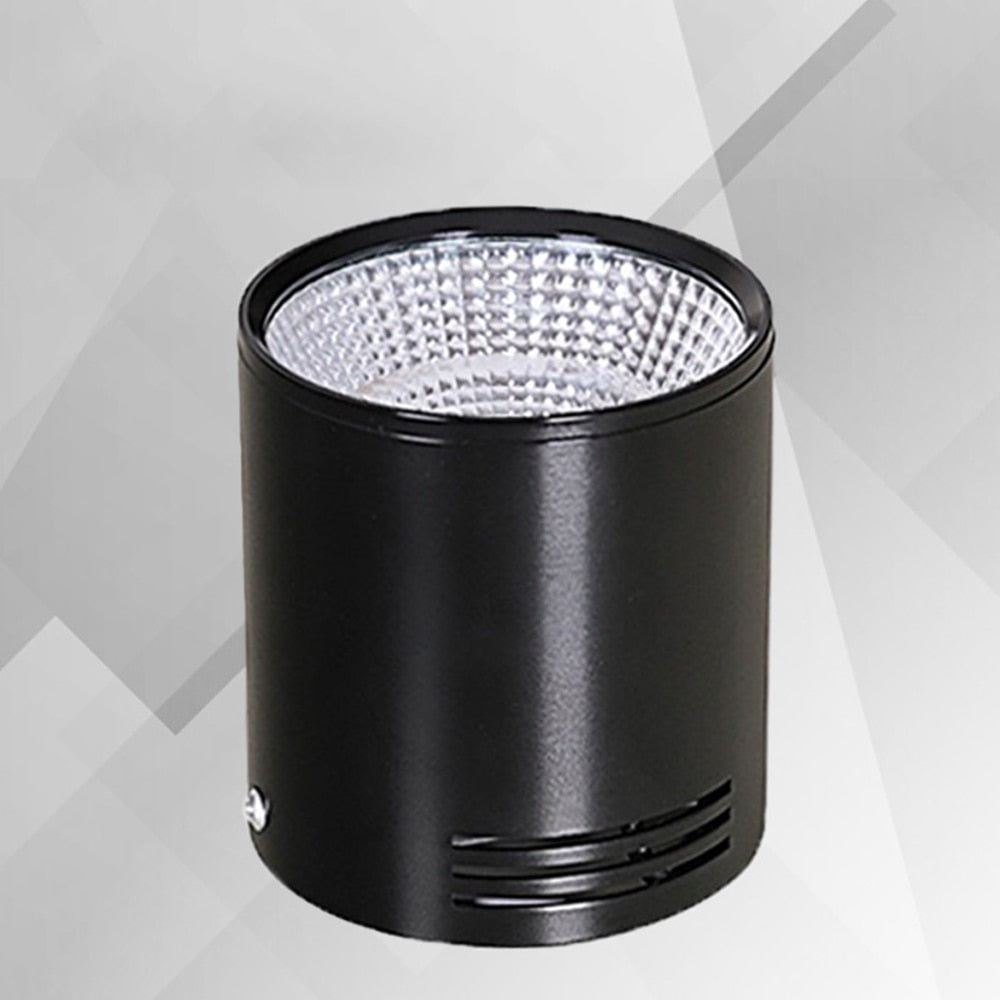 LED Black Surface Mounted Downlight COB Ceiling Spot Light for Hotel Villa Home Lighting