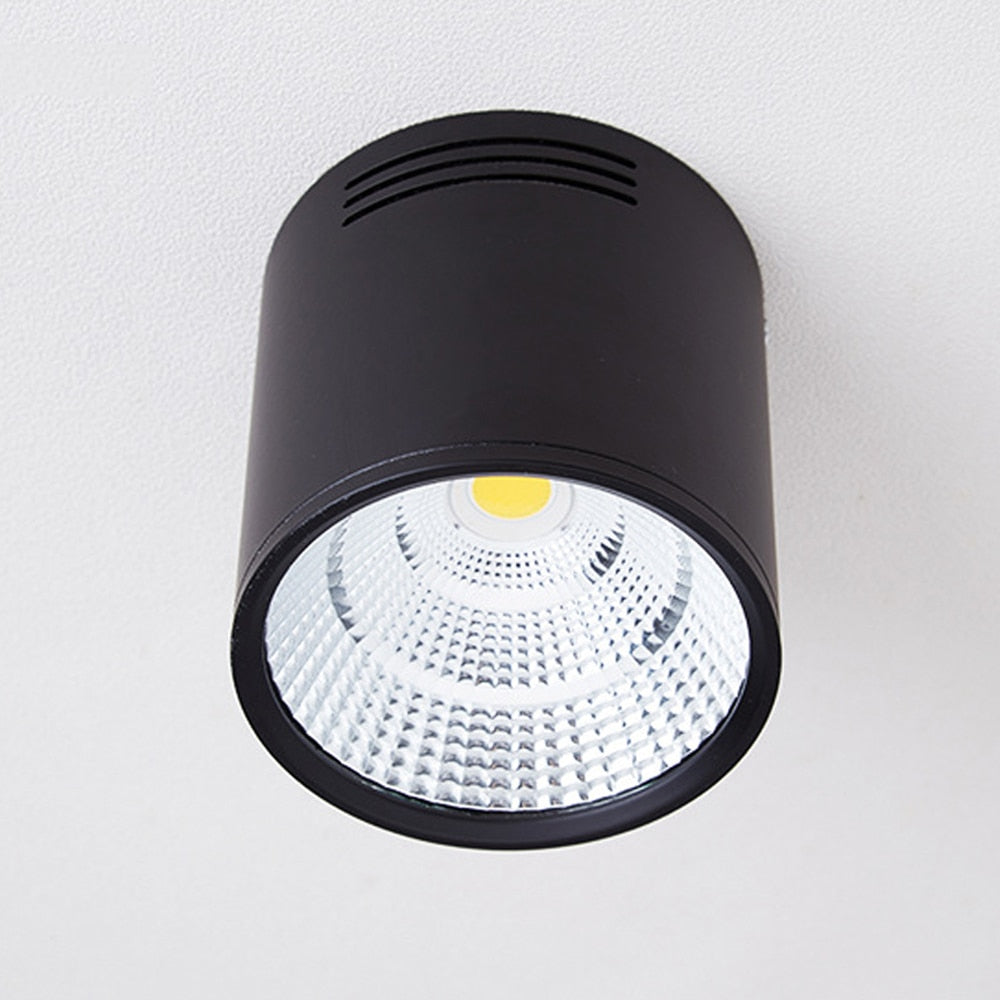 LED Black Surface Mounted Downlight COB Ceiling Spot Light for Hotel Villa Home Lighting