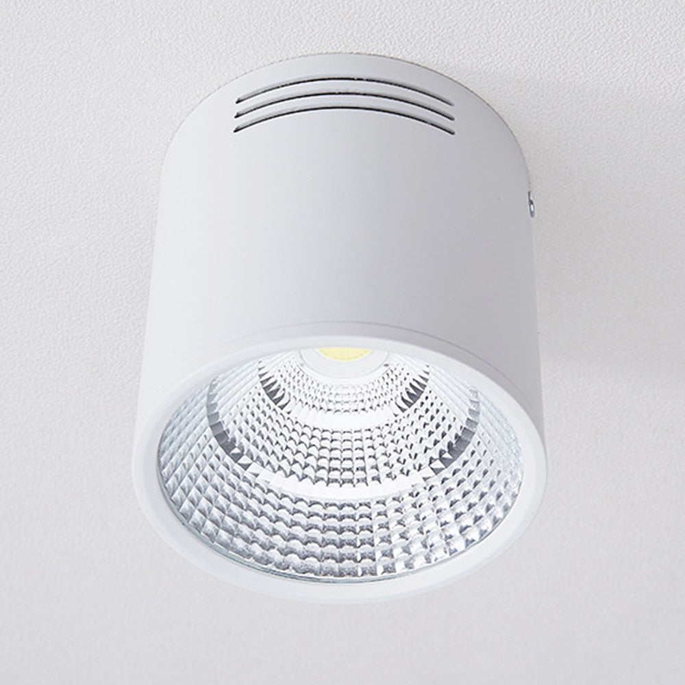 LED Black Surface Mounted Downlight COB Ceiling Spot Light for Hotel Villa Home Lighting