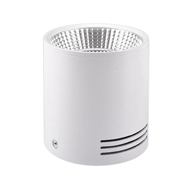 LED Black Surface Mounted Downlight COB Ceiling Spot Light for Hotel Villa Home Lighting