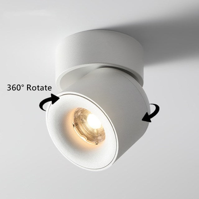 Led Surface Mounted Ceiling Downlight Round Curve Adjustable 90 degrees Nordic Spot light For Living Room Foyer Store AC90-265V
