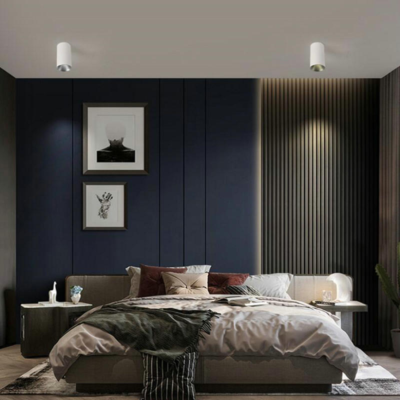 Surface Mounted LED Downlight 10W 15W AC110V AC220V AC240V COB LED Ceiling Spot Light Bedroom Indoor Lighting