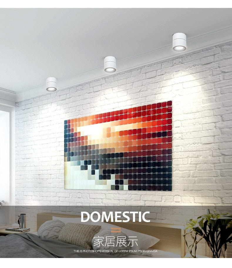 LED Lights 360° Rotating Ceiling Lamp Golden Track Light led Downlight Surface Spotlight Indoor Lighting Living Room Spot Light