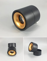 LED Lights 360° Rotating Ceiling Lamp Golden Track Light led Downlight Surface Spotlight Indoor Lighting Living Room Spot Light