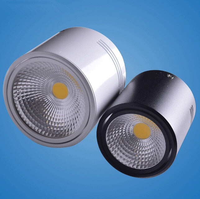 Surface Mounted 12W/18W LED Downlights AC110V/AC220V LED Downlight With White/Cold White/Black/White Housing Colors