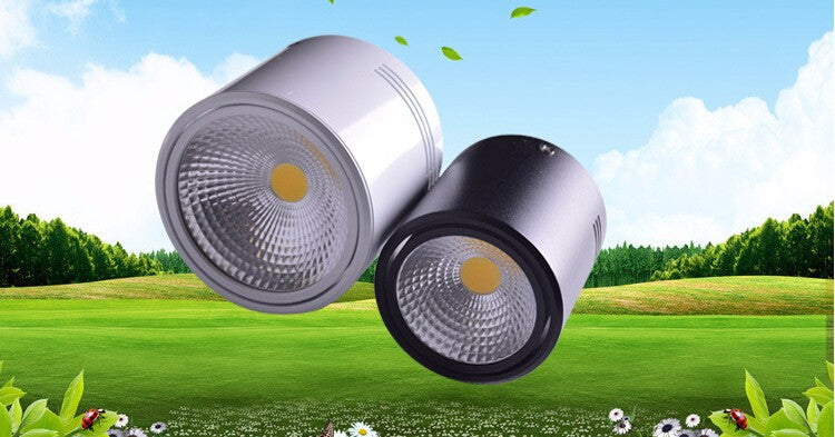 Surface Mounted 12W/18W LED Downlights AC110V/AC220V LED Downlight With White/Cold White/Black/White Housing Colors