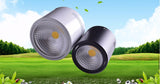Surface Mounted 12W/18W LED Downlights AC110V/AC220V LED Downlight With White/Cold White/Black/White Housing Colors