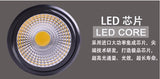 Surface Mounted 12W/18W LED Downlights AC110V/AC220V LED Downlight With White/Cold White/Black/White Housing Colors