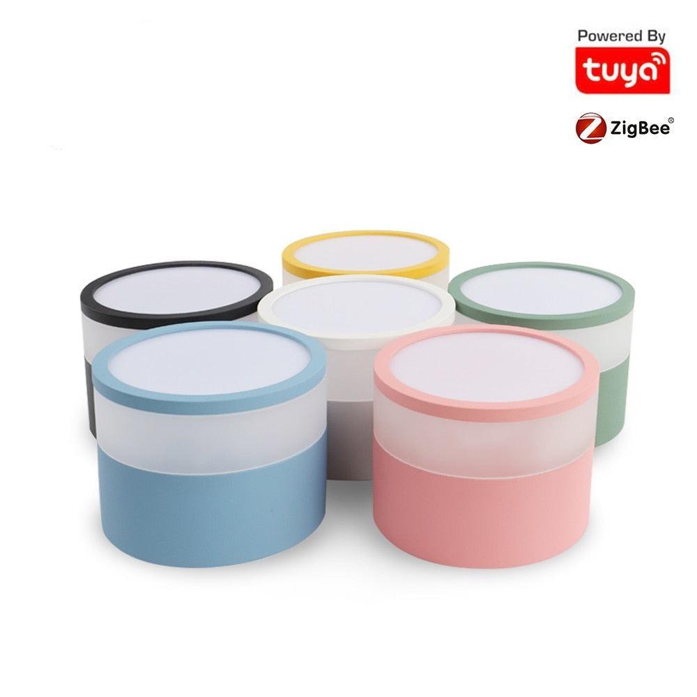 Benexmart Tuya Zigbee LED Surface Mounted Downlight 9W RGBW Dimmable Ceiling Lamp for Decor Round Spotlight Alexa Google Home