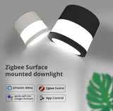 Benexmart Tuya Zigbee LED Surface Mounted Downlight 9W RGBW Dimmable Ceiling Lamp for Decor Round Spotlight Alexa Google Home