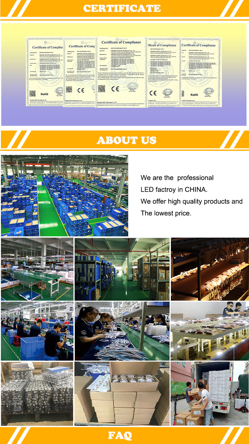 LED Downlight 3W Round COB Lamp AC110V or 220V Led Bulb Bedroom Kitchen Recessed Down Lights Indoor Light