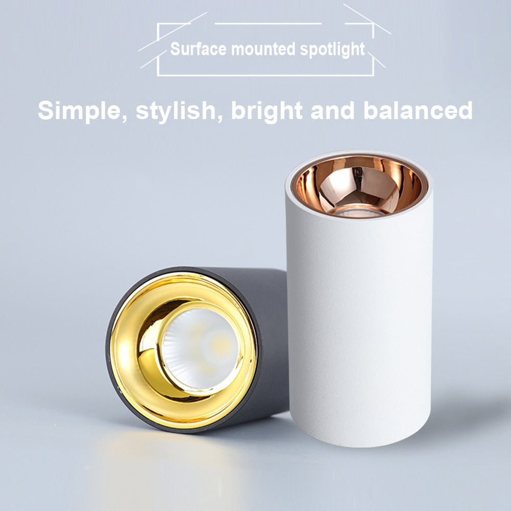 Surface Mounted 2 Colors LED Downlight COB Spot Light Anti Glare Ceiling Lamp