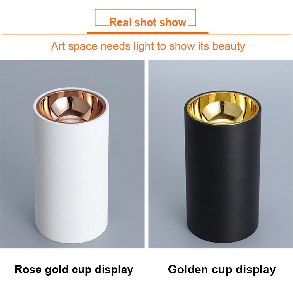 Surface Mounted 2 Colors LED Downlight COB Spot Light Anti Glare Ceiling Lamp