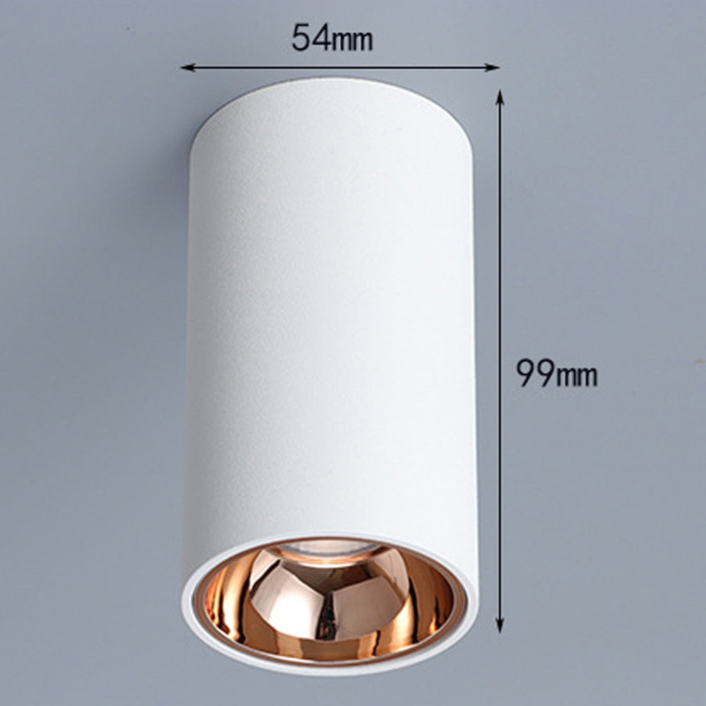 Surface Mounted 2 Colors LED Downlight COB Spot Light Anti Glare Ceiling Lamp