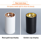 Surface Mounted 2 Colors LED Downlight COB Spot Light Anti Glare Ceiling Lamp